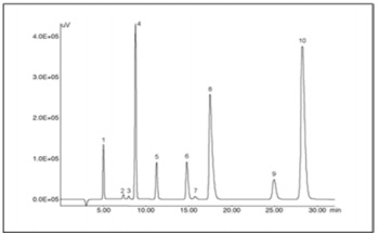Chromatogram of the tap water mixed with chloric acid (60 ppb.)<br /> Peaks: 1 = chlorite (ClO2), 2 = chloride (Cl), 3 = chlorate (ClO3), 4 = nitrate (NO3), 5 = sulfate (SO42)<br /> The other conditions are the same as in Figure 1 caption.