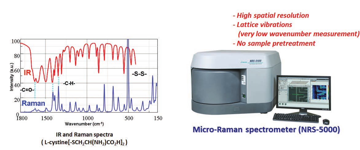 IR and Raman spectra(L-cystine[-SCH2CH(NH2)CO2H]2)