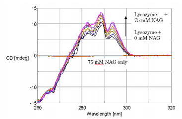 CD spectra of lysozyme only, NAG only, and NAG titrated into the lysozyme solution in the near-UV region