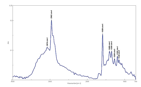 Infrared spectrum of ink stain