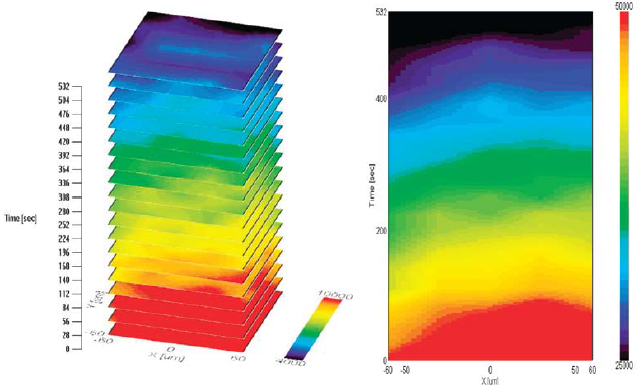 Confocal Raman Imaging - NRS Series Spectrometers | JASCO