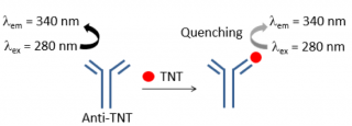 Schematic illustration of fluorescence quenching caused by TNT detection of anti-TNT