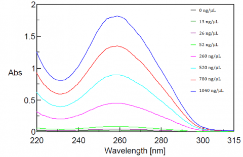 Absorption spectra of calf thymus DNA using a 1 mm pathlength cell
