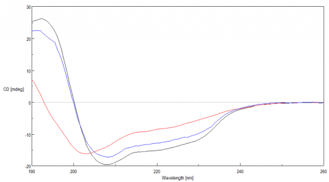 Circular Dichroism spectra of lysozyme measured at 20ºC (black), heated to 90ºC (red), and cooled back down to 20ºC (blue).