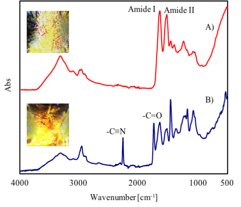 IR spectra and images of beige cloth (top) and red cloth (bottom)