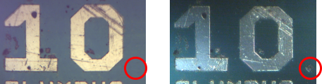 Visible Observation View (L) and Differential Interference Observation View (R)