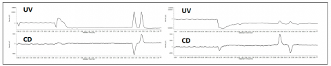 The chromatogram of flavanone at 254nm (left) and 340nm (right).
