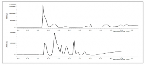 Chromatogram of the terpene mixture. Top column is IB N-5 column. Bottom column is Finepak SIL C18