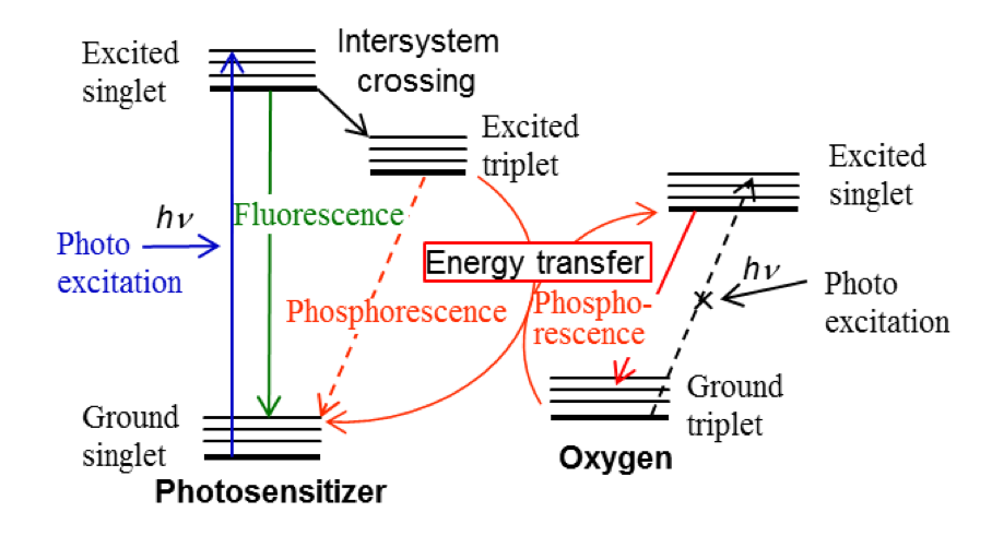 Detection Of Phosphorescence From Singlet Oxygen Using NIR 