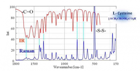 Comparison of IR and Raman spectra