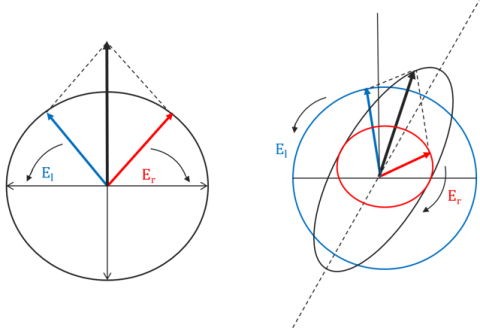 El and Er components when they are absorbed equally (left), resulting in linearly polarized light, and unequally (right), resulting in elliptically polarized light.