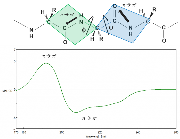Circular Dichroism Spectroscopy - JASCO