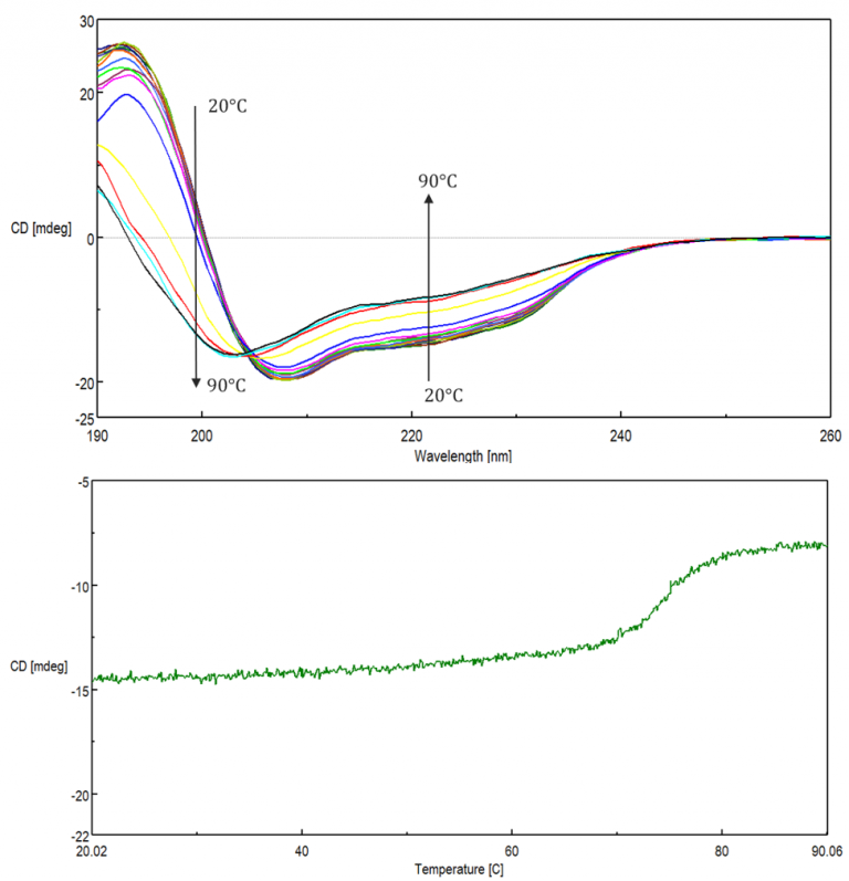 Circular Dichroism Spectroscopy Jasco 