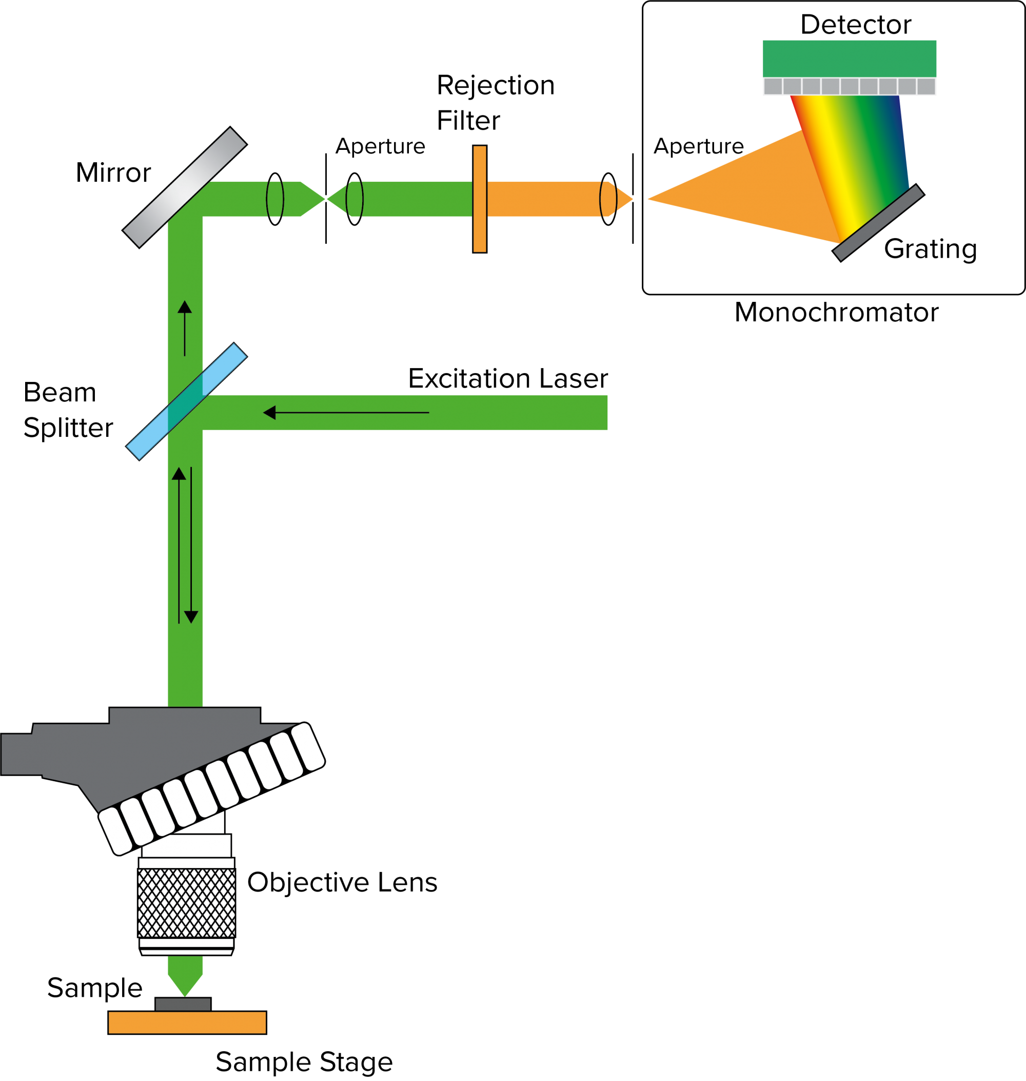 Confocal Raman Microscopy (The Basics) - JASCO