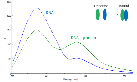 fret spectra of the donor fluorophore