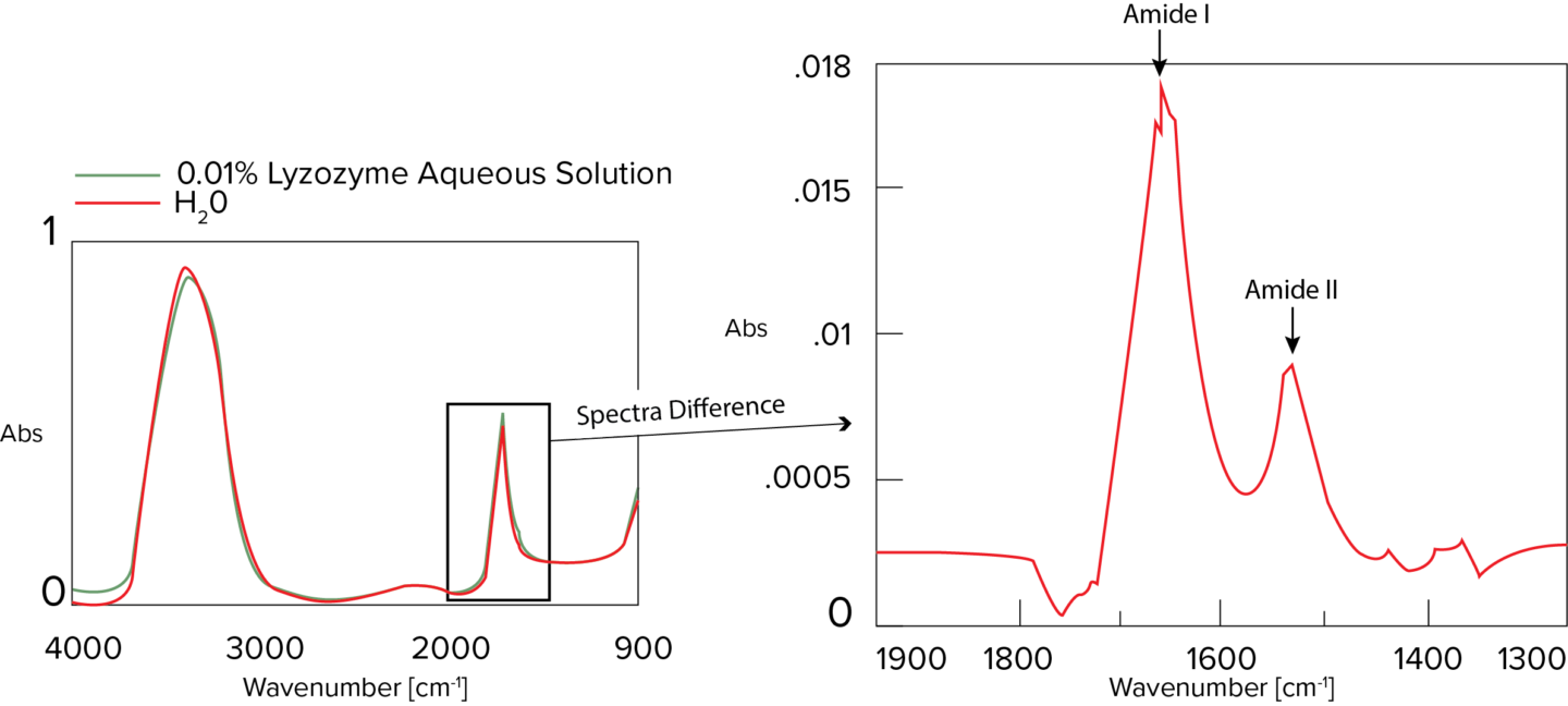 Measurement results and difference spectra of 0.01% lysozyme aqueous solution with ATR PRO PENTA
