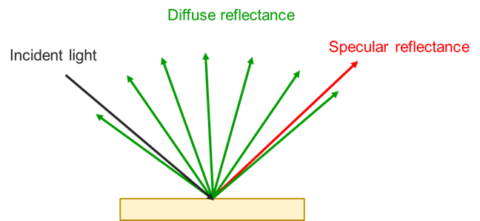 Specular (red) and diffuse (green) reflectance components. 