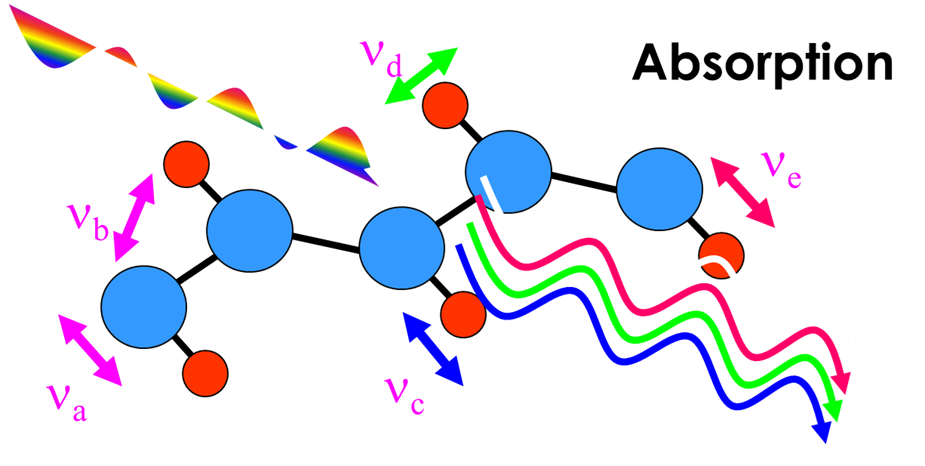 Vibrational Spectroscopy - JASCO