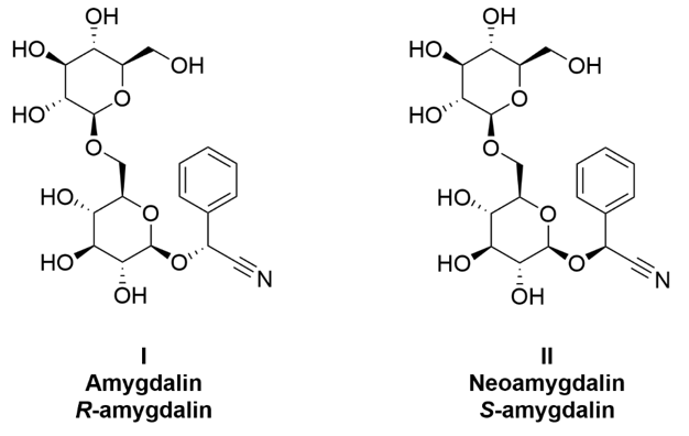 Molecular Potential of Amygdalin Powder Molecular Potential of Amygdalin Powder