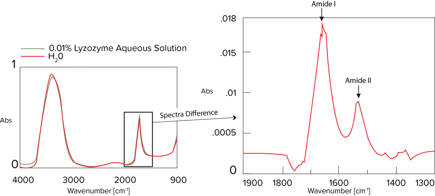 Figure 5. Measurement results and difference spectrum of 0.01% lysozyme aqueous solution with ATR PRO PENTA