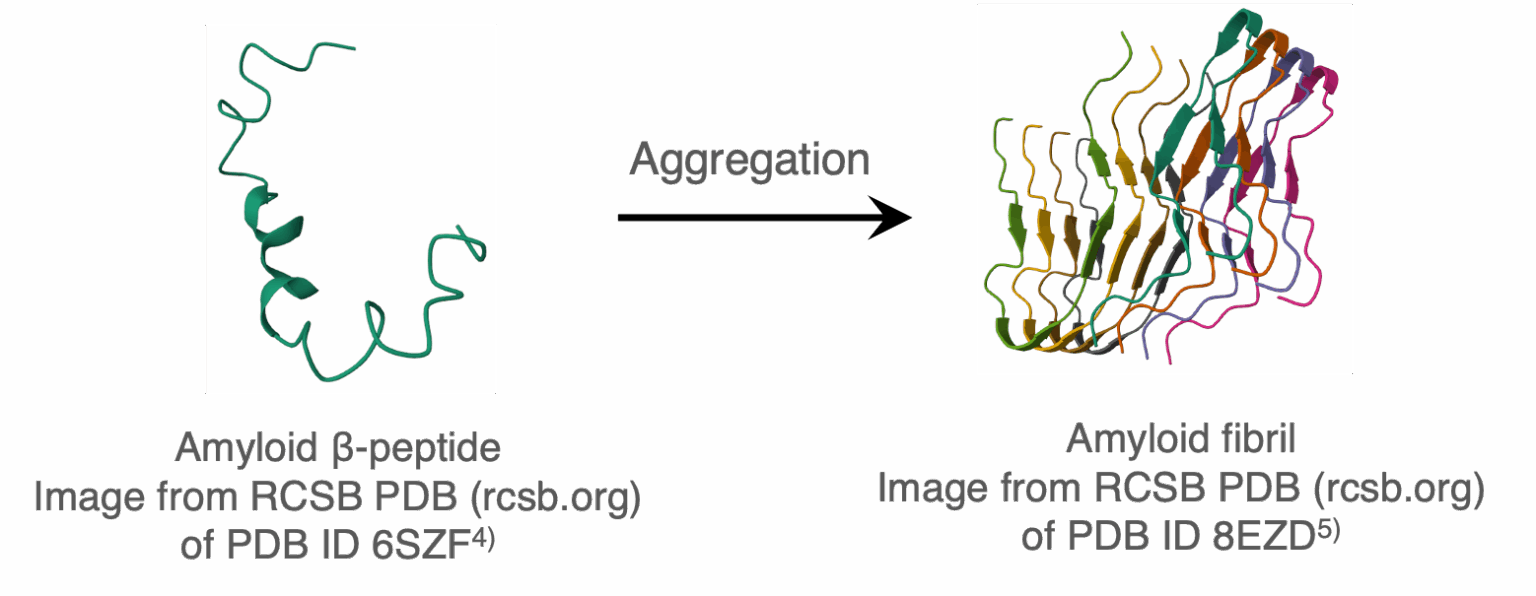 Assessment of Inhibitors for Amyloid Fibril Formation Using a Circular ...